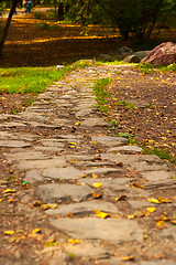 Image showing stone path in autumn park