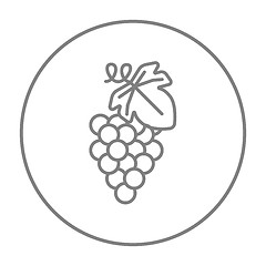 Image showing Grape line icon.