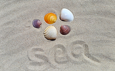 Image showing Sand background with seashells and word ''sea''