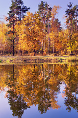 Image showing Lake of the Woods