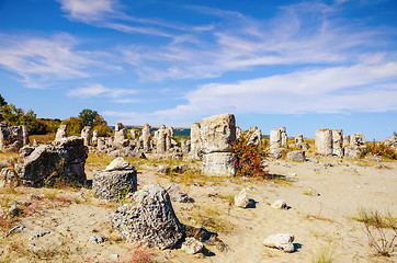 Image showing Stone Forest