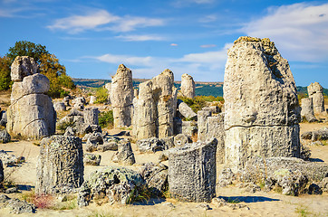 Image showing Stone Forest