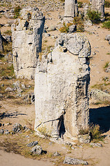 Image showing Stone Forest