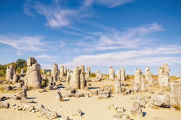 Image showing Stone Forest