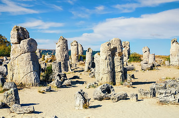 Image showing Stone Forest