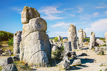 Image showing Stone Forest