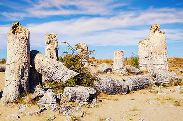 Image showing Stone Forest