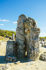 Image showing Stone Forest