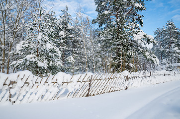 Image showing Snow-covered landscape in the countryside. Viitna, Estonia