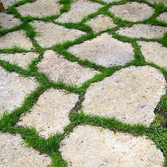 Image showing Track of the limestone slabs in the garden