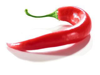 Image showing Fresh Red Hot Chili Pepper.