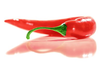 Image showing Fresh Red Hot Chili Pepper.