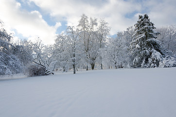 Image showing winter in sweden with a lot of snow