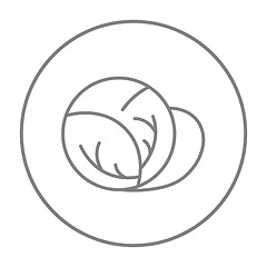 Image showing Cabbage line icon.