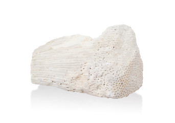 Image showing White coral stone  isolated