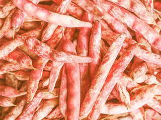 Image showing Retro looking Cranberry beans