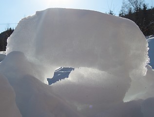 Image showing Looking through the snow