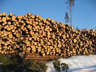 Image showing Timber