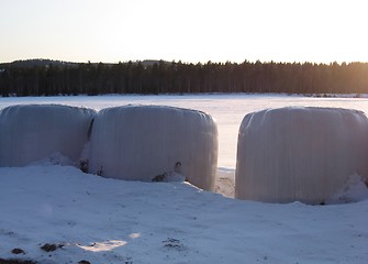 Image showing Tractor eggs