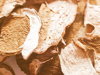 Image showing Retro looking Mushrooms picture