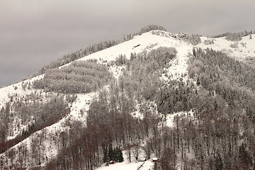 Image showing hills covered with snow