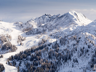 Image showing winter landscape