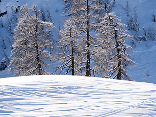 Image showing winter landscape