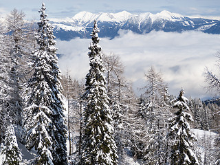 Image showing winter landscape