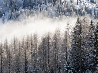 Image showing winter landscape