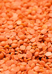 Image showing Dry  Red Lentils