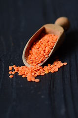 Image showing Dry  Red Lentils