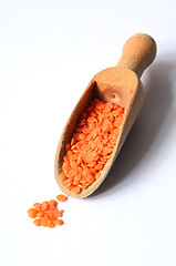 Image showing Dry  Red Lentils