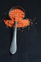 Image showing Dry  Red Lentils