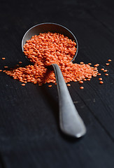 Image showing Dry  Red Lentils