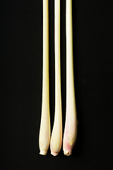 Image showing Lemongrass