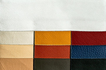 Image showing Leather chart 1