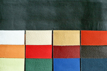 Image showing Leather chart 3