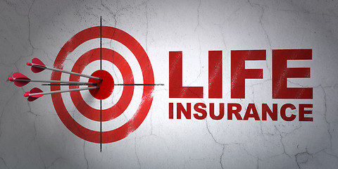 Image showing Insurance concept: target and Life Insurance on wall background
