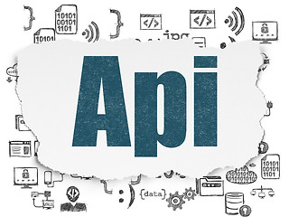 Image showing Software concept: Api on Torn Paper background