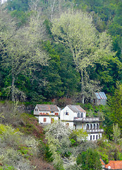 Image showing Island named Madeira