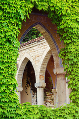 Image showing Arched Window Opening