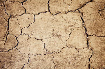 Image showing Parched Ground