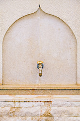 Image showing Street Faucet