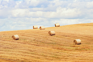 Image showing Haystacks on the Field