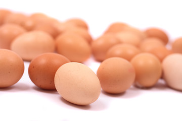 Image showing eggs