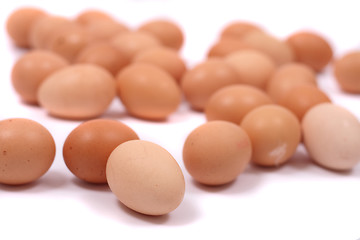 Image showing eggs