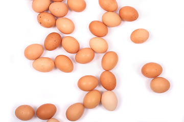 Image showing eggs