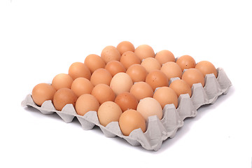 Image showing eggs