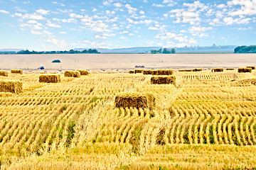 Image showing Bales of straw rectangular and sky
