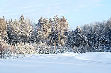 Image showing Forest winter with a narrow road